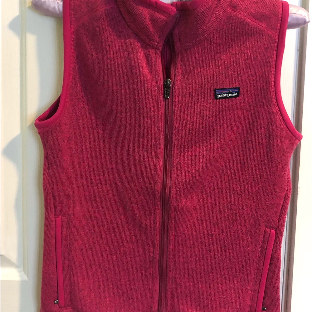 Patagonia Better Sweater Vest